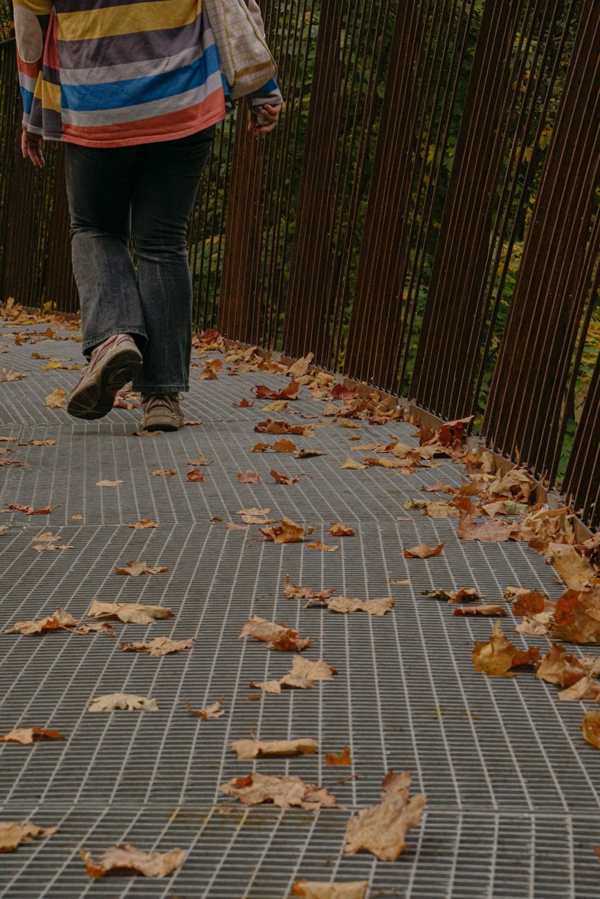 golden leaves on bridge ground